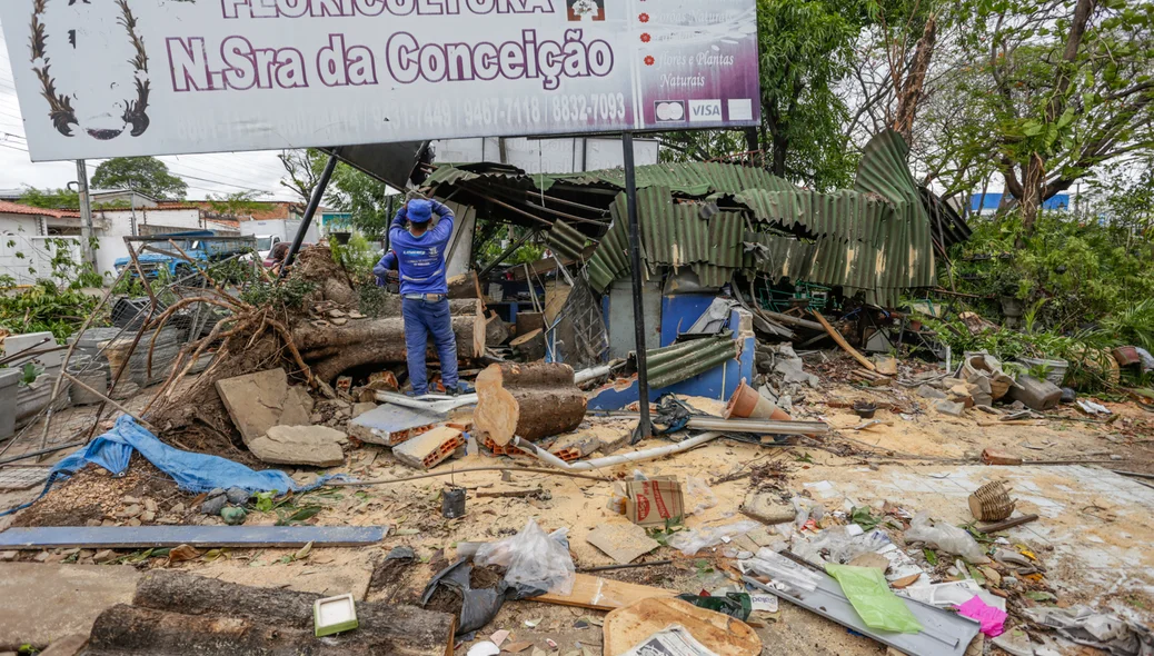 Floricultura Nossa Senhora da Conceição
