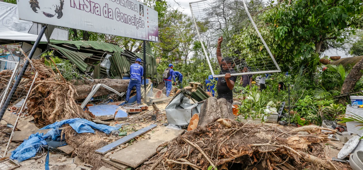 Proprietário retirando os móveis que restaram
