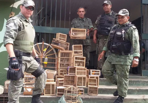 Polícia Ambiental resgata 84 pássaros em Teresina