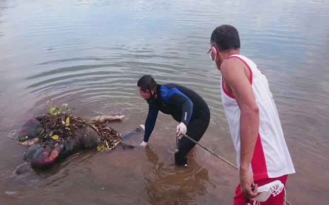 Corpos foram encontrados no Rio Parnaíba