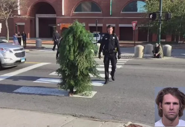 Homem fantasiado de árvore é preso nos EUA