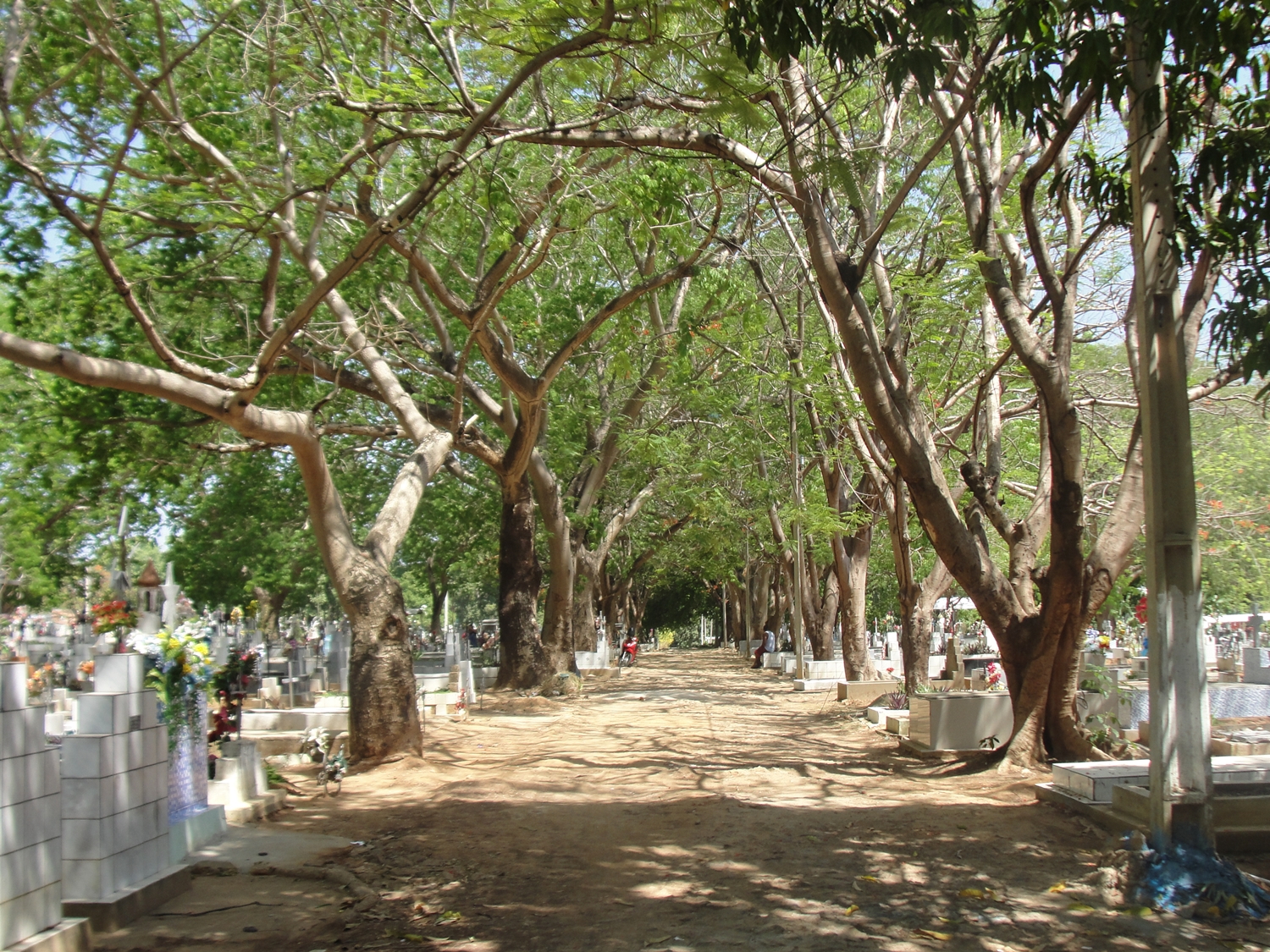 Cemitério em Teresina