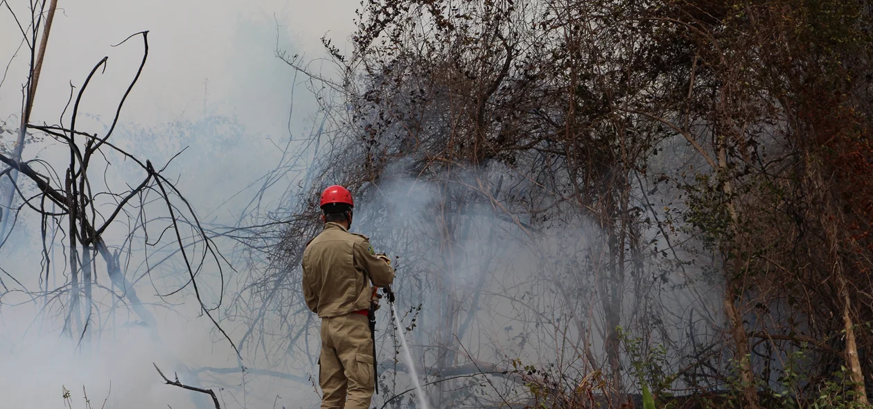 Corpo de Bombeiros evita que o fogo se alastre