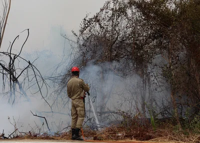 Corpo de Bombeiros evita que o fogo se alastre