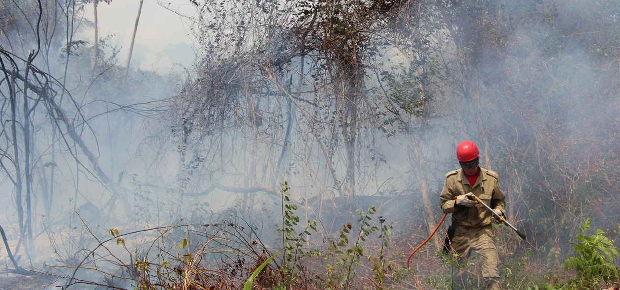 Corpo de Bombeiros foi acionado em incêndio na UFPI