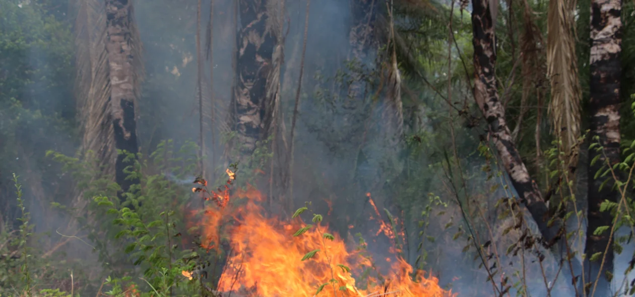 Incêndio na UFPI