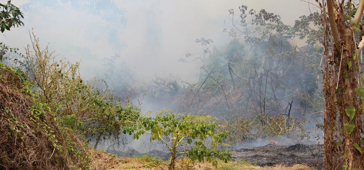Incêndio na UFPI em Teresina