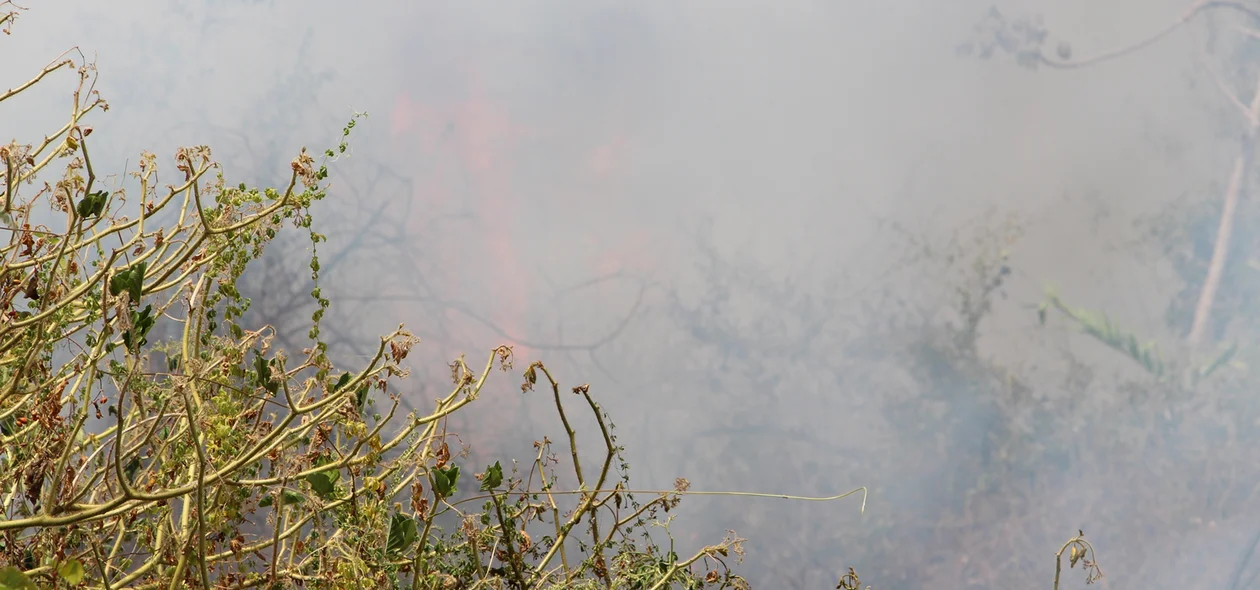 Incêndio na UFPI