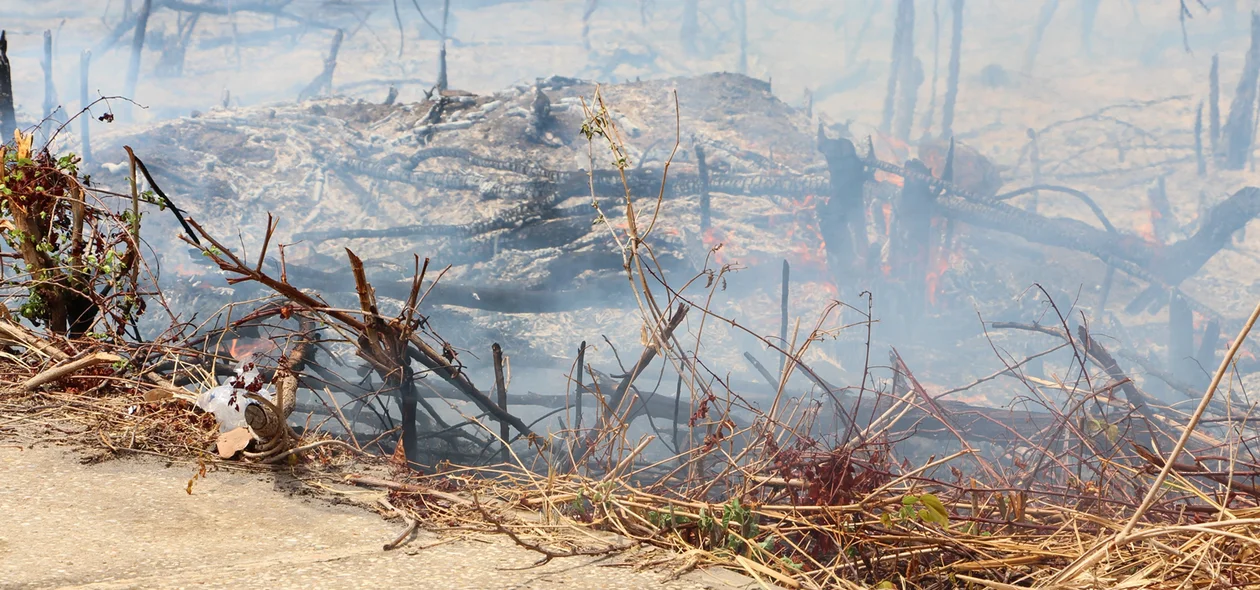 Incêndio na UFPI