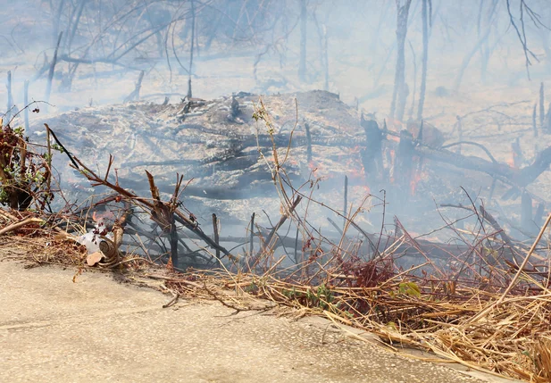 Incêndio na UFPI