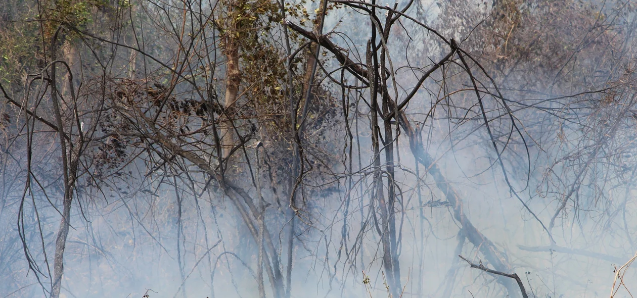 Incêndio na Universidade Federal do Piauí