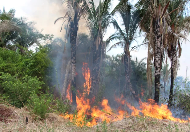 Incêndio na UFPI em Teresina