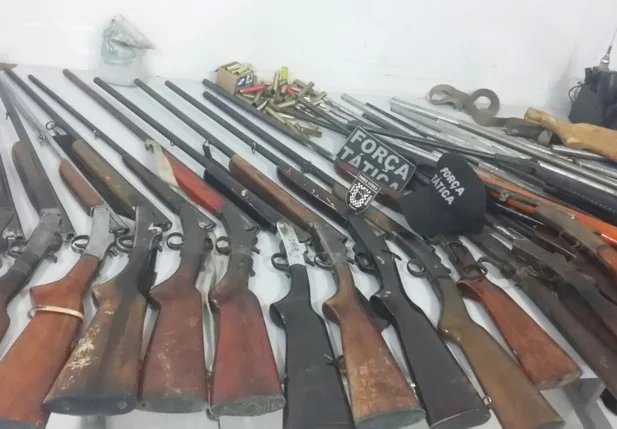 Armas apreendidas em Fronteiras