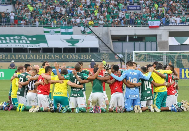 Jogadores comemoram a vitória após Palmeiras x Botafogo