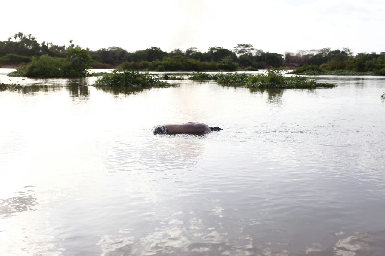Corpo é encontrado boiando dentro do rio Parnaíba em Teresina