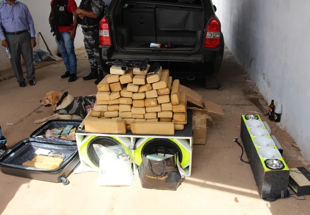 Polícia Civil apreende grande quantidade de drogas em Teresina