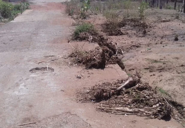 Moradores pedem reforma de rua no bairro Mutirão em Campinas do Piauí