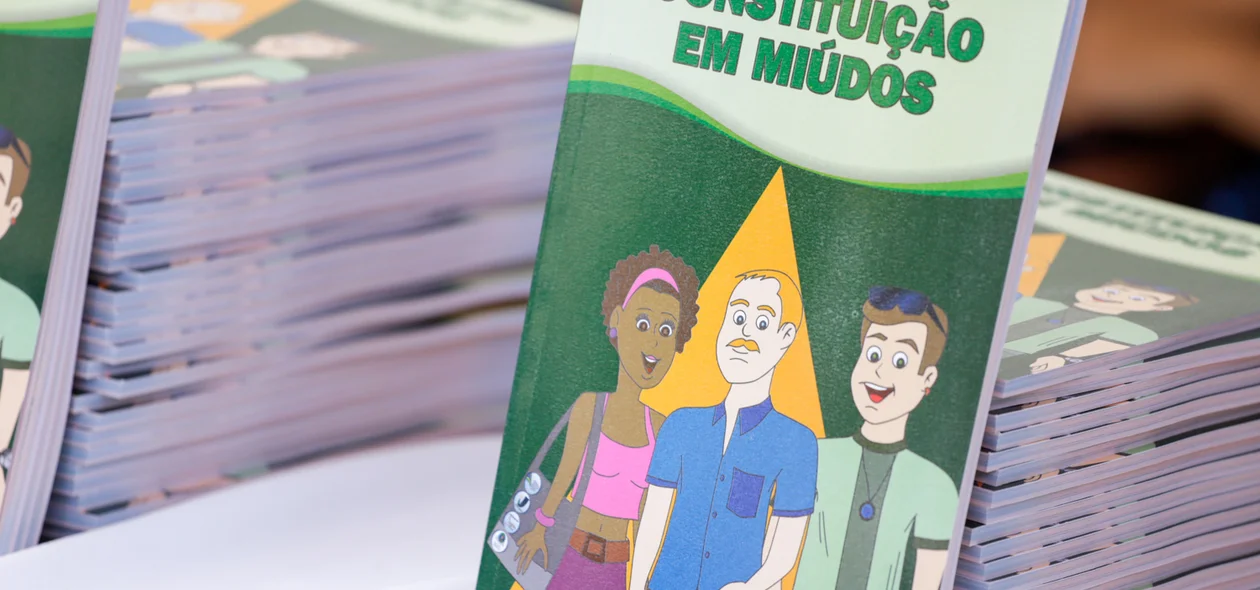 Constituição em Miúdos