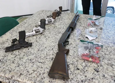 Armas apreendidas 