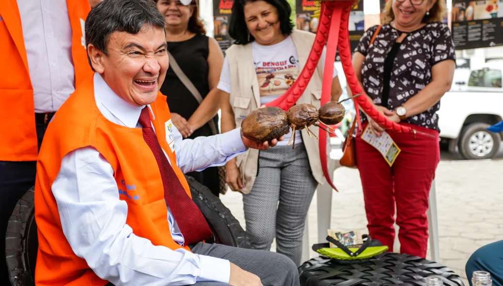 Wellington brinca com mosquido da dengue 