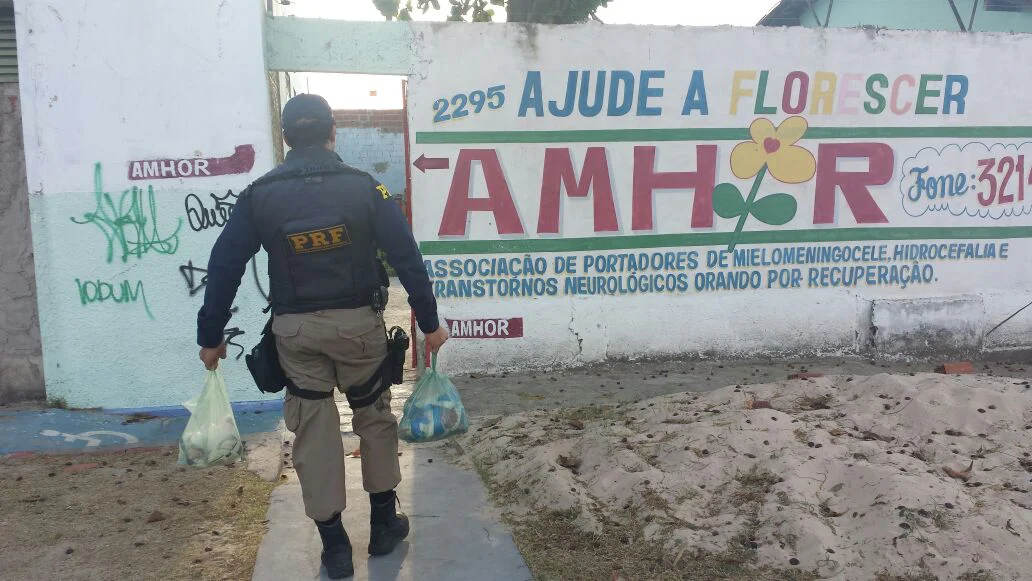 Ação voluntária na AMHOR