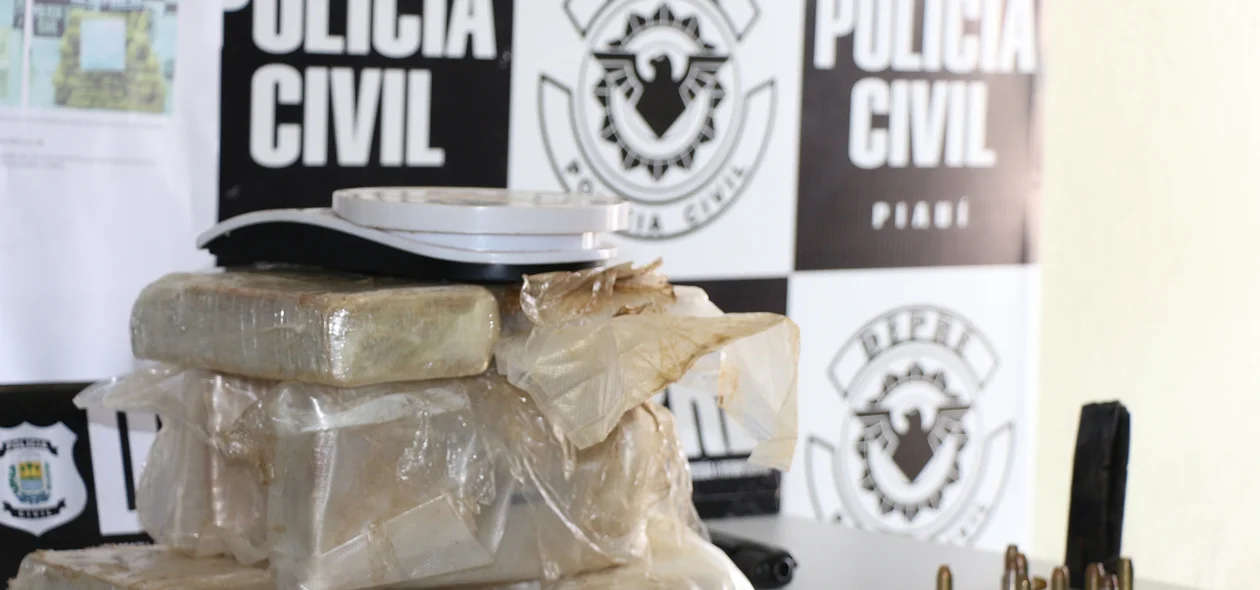 Material encontrado pela Depre