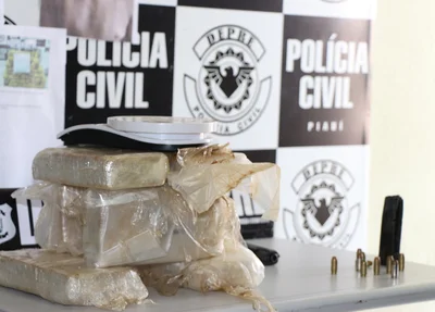 Material encontrado pela Depre
