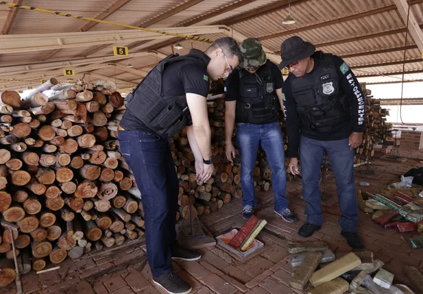 Policiais incineram drogas