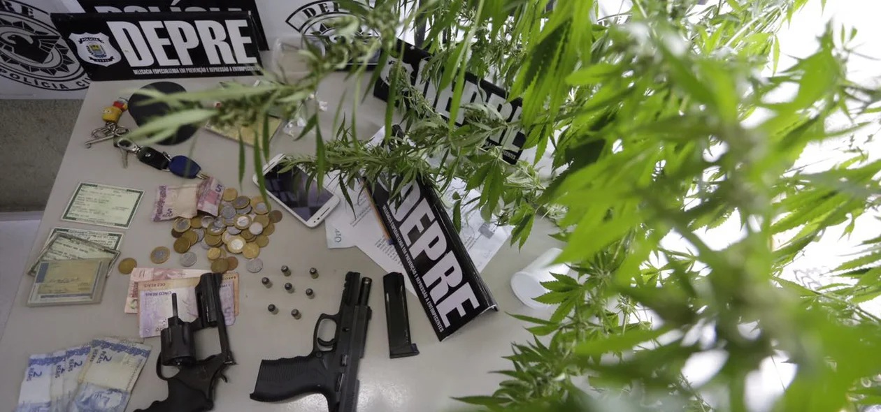 Um pé de Maconha foi apreendido