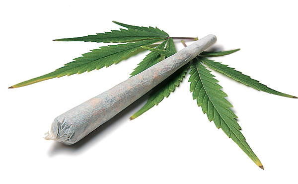 Maconha