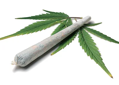 Maconha