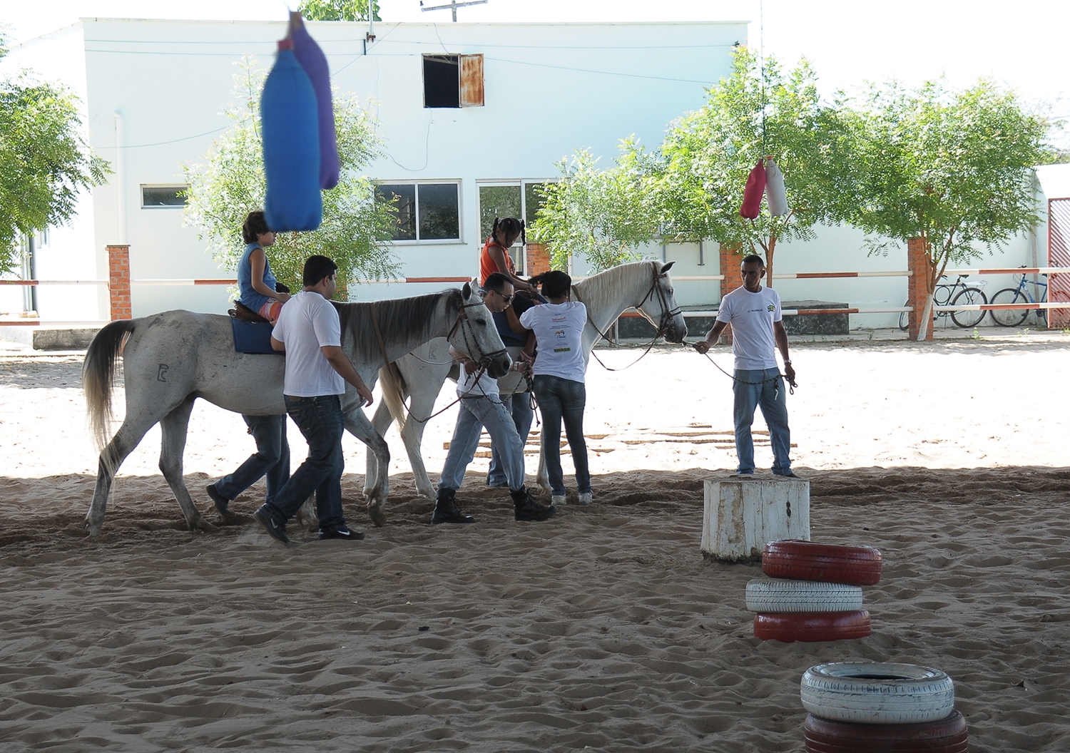 Crianças durante sessão de Equoterapia