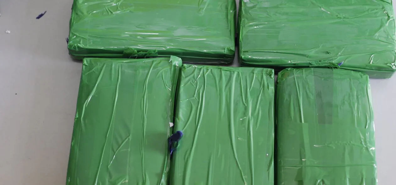 Cocaína apreendida