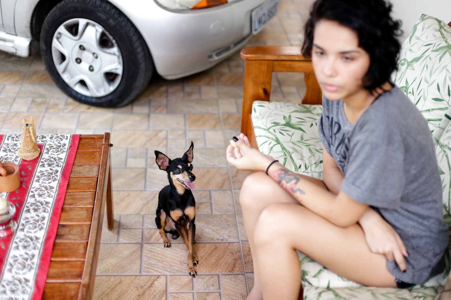 Tião, cachorro de estimação da camila