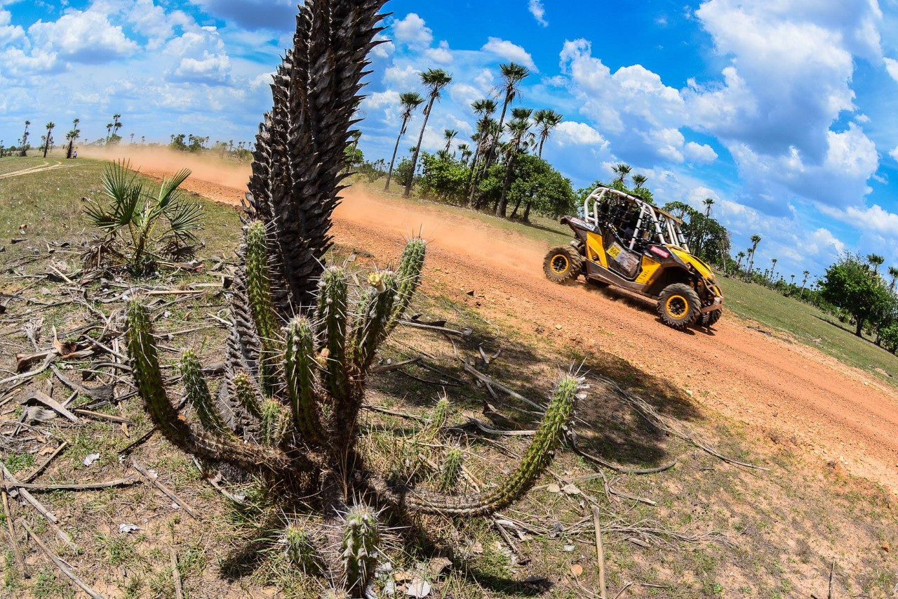 Rally Piocerá 2017