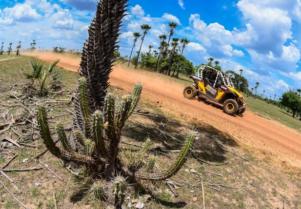 Rally Piocerá 2017