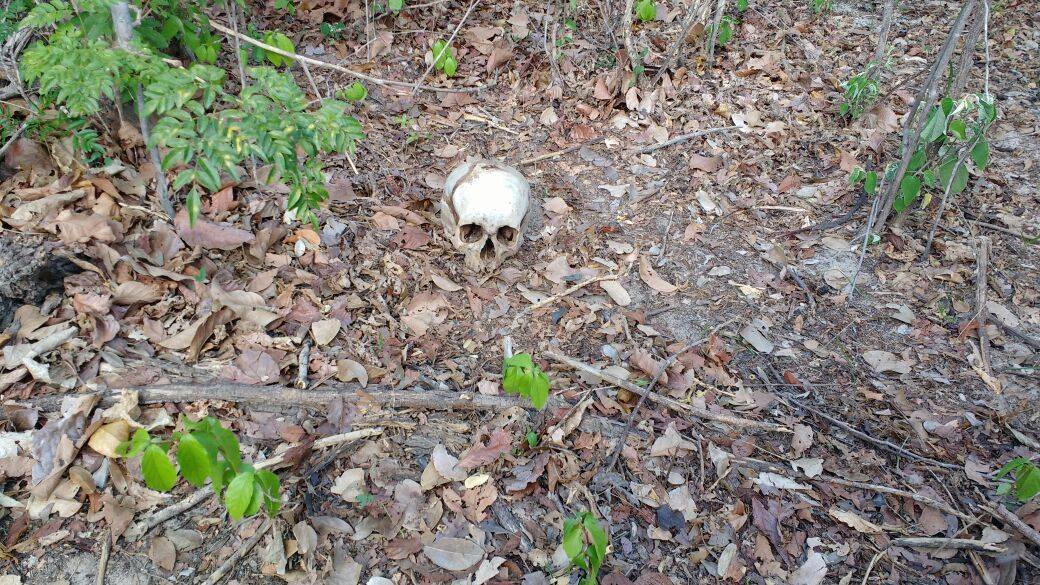 Ossada humana foi encontrada em Buriti dos Lopes 