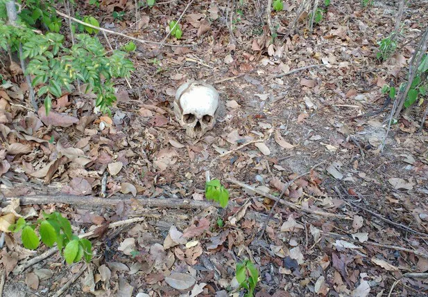 Ossada humana foi encontrada em Buriti dos Lopes 
