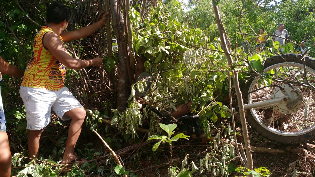 Homem morre após colidir em árvore