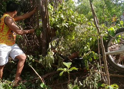 Homem morre após colidir em árvore