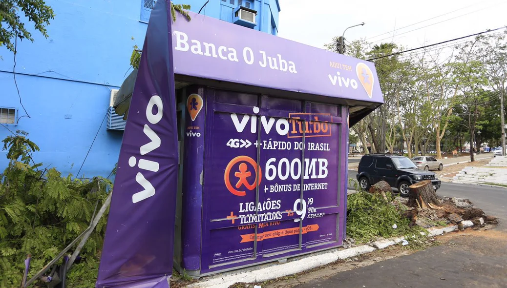 Árvore cai e atinge banca de revistas em Teresina