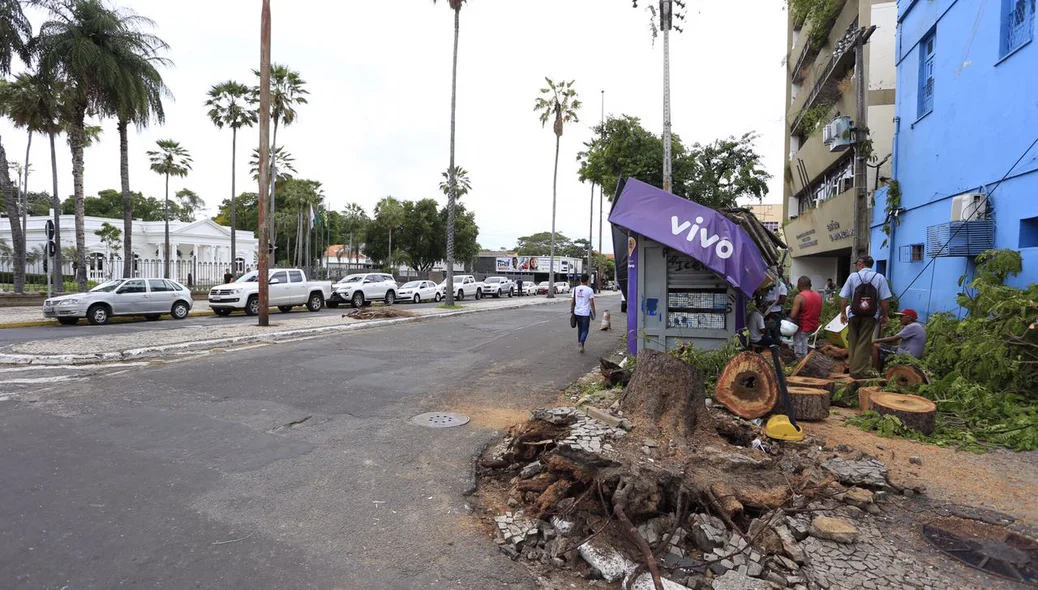 Árvore cai e atinge parte de banca de revistas em Teresina