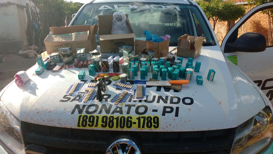 Arma de fogo e munições apreendidas