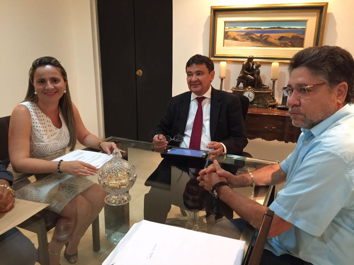 Wellington Dias recebe o deputado João Mádison e alguns prefeitos 