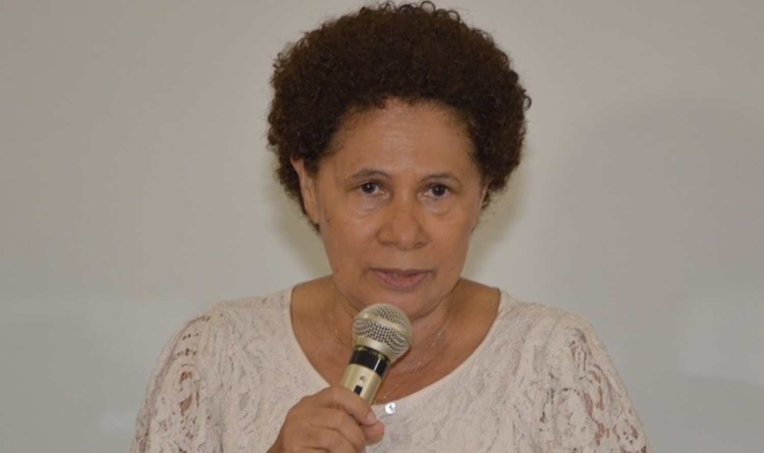 Senadora Regina Sousa  explicou o processo de eleição do PT