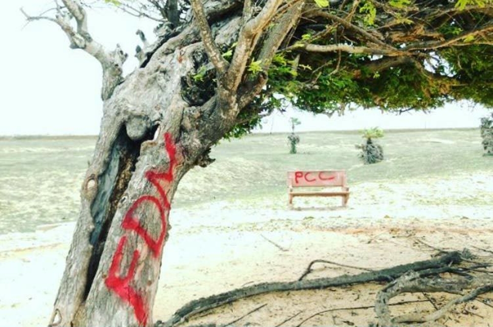 Árvore Penteada pinchada com siglas de facções criminosas