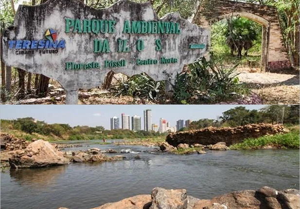 Parque Floresta Fóssil