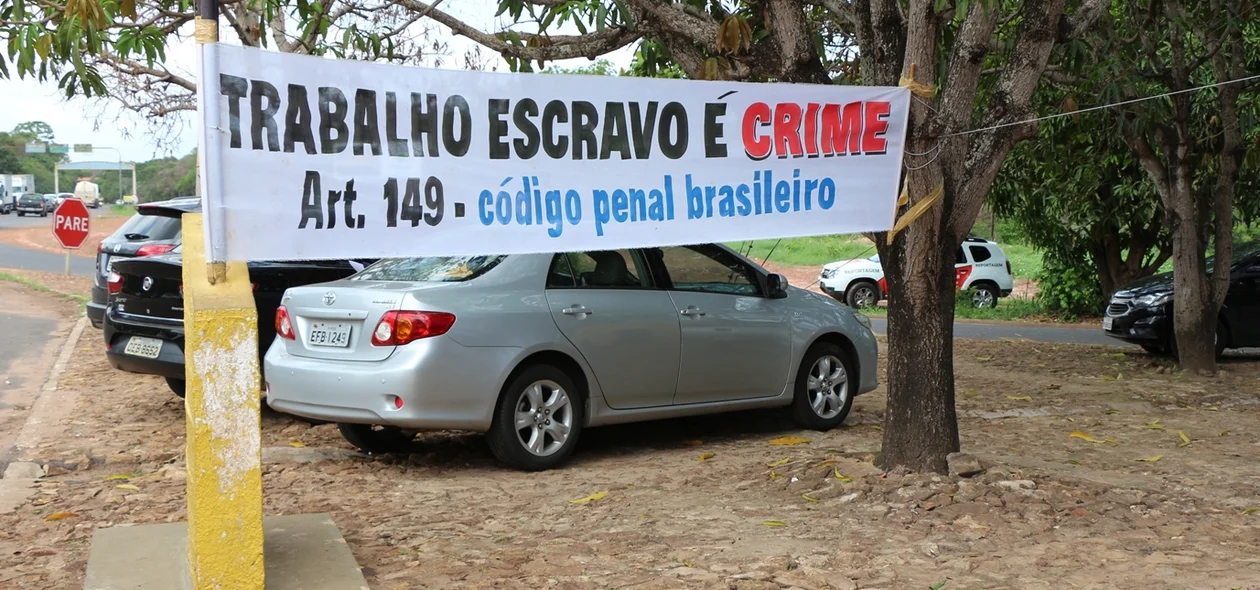 Ação de combate ao trabalho escravo