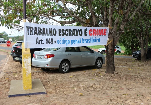 Ação de combate ao trabalho escravo