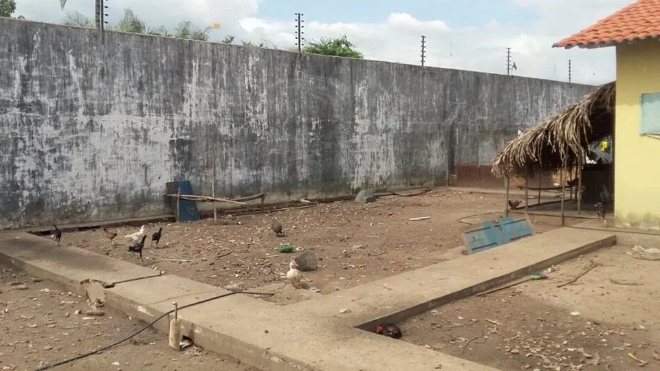 Animais ajudam a evitar fugas na Penitenciária de Esperantina